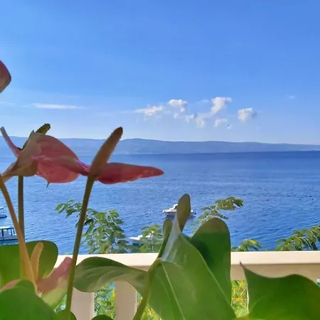 Apartment Neda Omis