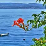 Neda Apartamento Omiš