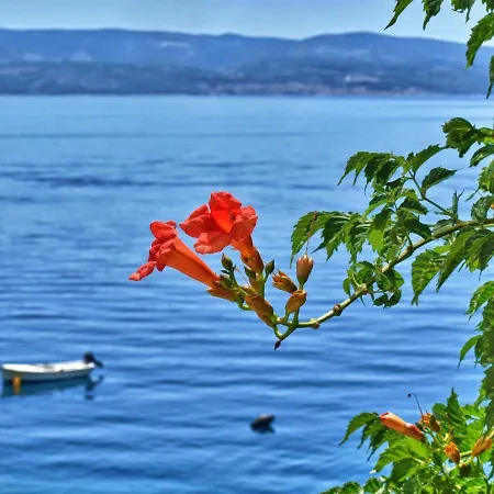 Neda Lägenhet Omiš